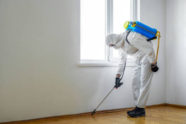 Best Emergency Pest Control  in Norton Center, MA